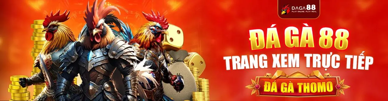 Trận đấu đá gà kịch tính tại Debet.fan